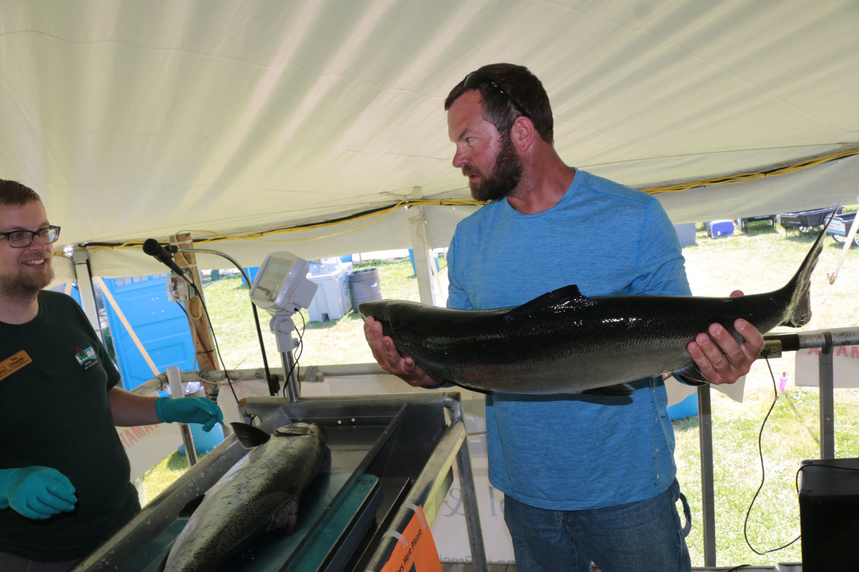 Salmon-A-Rama